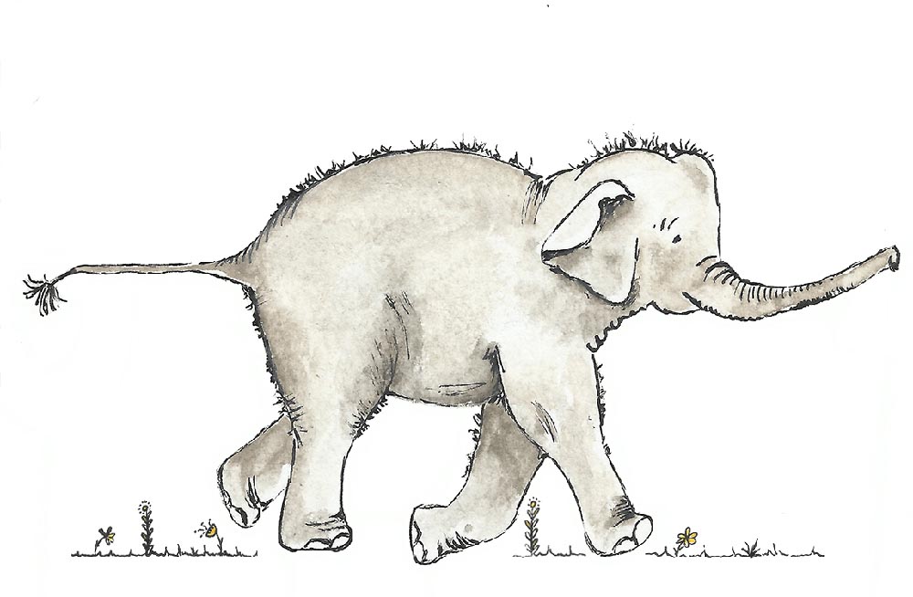 geboortekaartje olifant